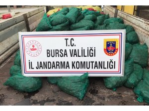 Jandarmadan ’midye’ operasyonu: 14 gözaltı