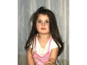 Ağrı’da 4 yaşındaki Leyla Aydemir’in ölümüyle ilgili iddianame tamamlandı