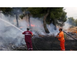 Gaziantep’te orman yangını