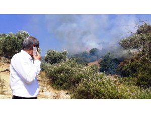 Koçarlı’da arazi yangını