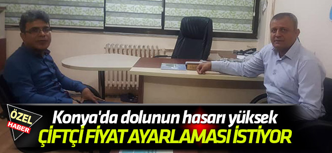 Konya'da dolunun hasarı yüksek; ÇİFTÇİ FİYAT AYARLAMASI İSTİYOR