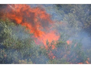Koçarlı’da arazi yangını