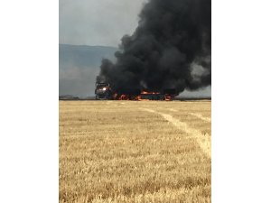 Sigara izmariti tarlayı ve tırı yaktı
