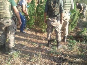 Sason’da uyuşturucu şebekesine operasyon