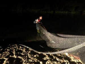 Jandarmanın balık nöbeti devam ediyor