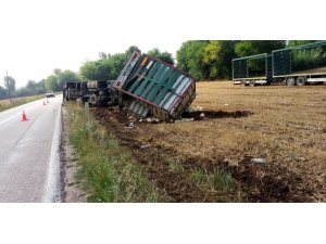 Osmaniye’de tır devrildi: 4 bin tavuk telef oldu
