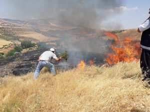Anız yangını bağa sıçramadan söndürüldü