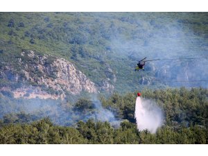 İzmir'de orman yangını