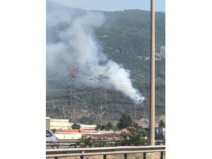 İzmir’de ormanlık alanda yangın