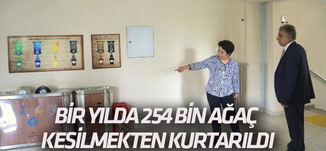 Bir yılda 254 bin ağaç kesilmekten kurtarıldı