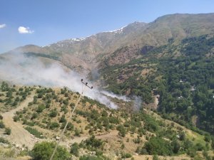 Bahçesaray’da orman yangını