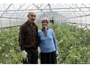 Gümüşhane’nin Çukurovası: İnkılap köyü