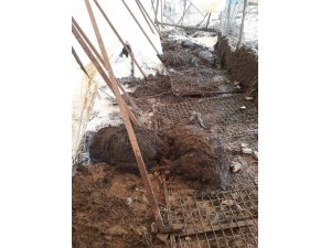 Antalya’da selde 10 küçükbaş hayvan telef oldu