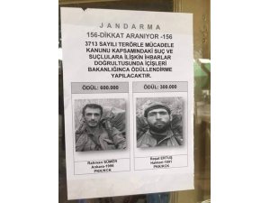 Asker Doğu Karadeniz’de iki PKK’lının peşinde