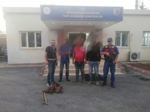 Oklu kirpi avlayan 3 kişiye para cezası