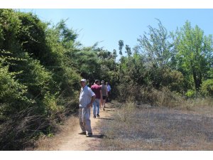 Antalya’da ot çalı yangını