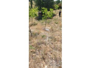 Haber alınamayan çoban dağda ölü olarak bulundu