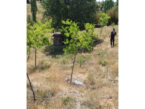 Konya'da kaybolan çoban ölü bulundu