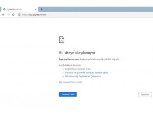 Sahte HGS sitesi üzerinden dolandırıldı