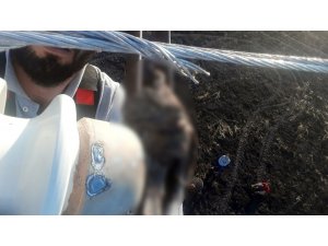 Güvercin elektrik teline takılınca 20 dönüm buğday tarlası kül oldu