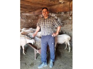 Koyun yıkamaya giden abi kardeş boğularak hayatını kaybetti