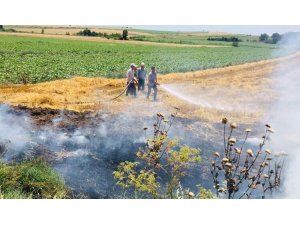 Hayrabolu’da 25 dönümlük ekili alan kül oldu