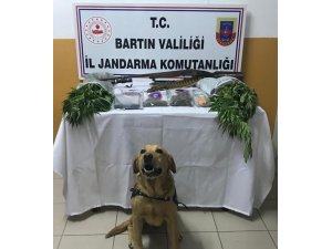 Jandarmadan uyuşturucu operasyonu