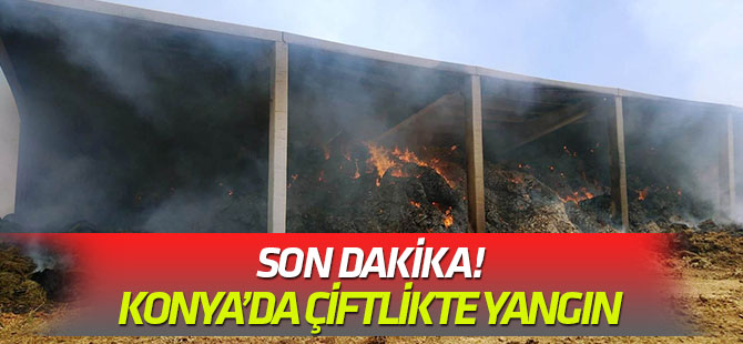 Konya'da besi çiftliğinde yangın!