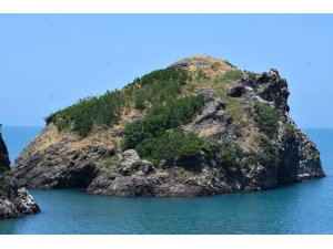 "Sakin şehrin" adası kuşlarıyla ilgi çekiyor