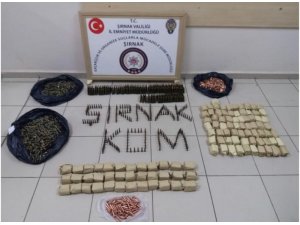 Şırnak’ta silah kaçakçılarına darbe