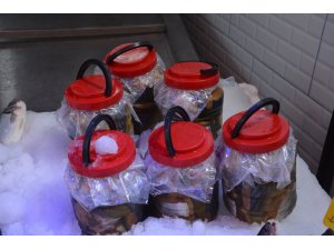 Balıkta ’lakerda’ dönemi