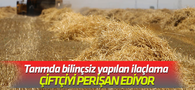 Tarımda bilinçsiz yapılan ilaçlama çiftçiyi perişan ediyor