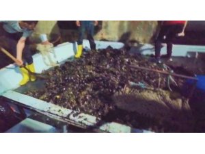 Tekirdağ’da bir tekne dolusu kaçak midye ele geçirildi