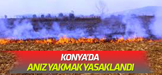 Konya’da anız yakmak yasaklandı