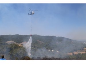Antalya’da orman yangını