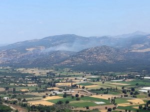 Havran’daki orman yangını kontrol altına alındı