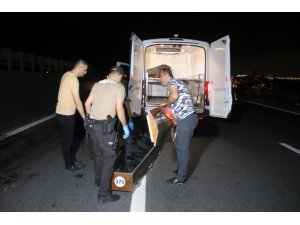 Kocaeli’de TEM Otoyoluna giren şahıs feci şekilde öldü