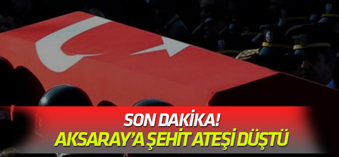Bölge ateş altına alındı... Zeytin Dalı Harekatı bölgesinde 1 asker şehit oldu!