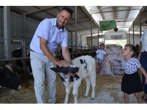 Kurbanlık satın alırken dikkat