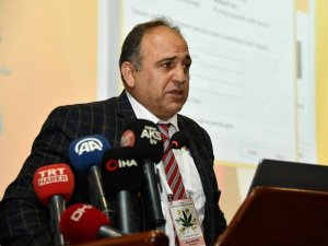 Türkiye’de kenevir üretiminde lokomotif il "Samsun"