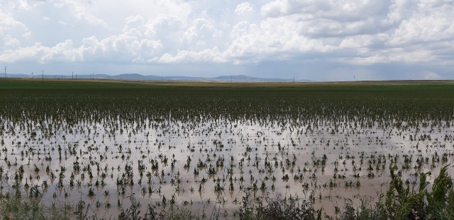 TARSİM’den dolu açıklaması