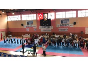 Kırşehir'de Neşet Ertaş Wushu Kungfu Şampiyonası