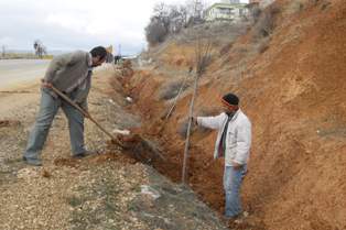 Seydişehir'de ağaçlandırma çalışmaları