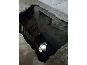 Defne avcılarına suçüstü