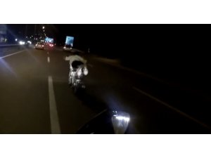 Motosikletin üzerine yatan sürücünün tehlikeli yolculuğu