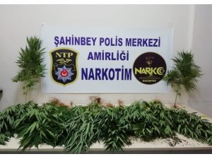 Polis uyuşturucu tacirlerine göz açtırmıyor