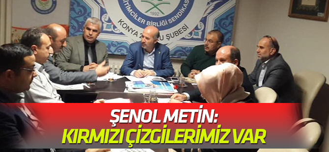 Şenol Metin: Kırmızı çizgilerimiz var