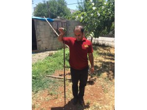Eve giren yılanı itfaiye ekipleri yakaladı