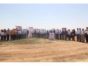 Mardin’de çiftçilere arda nohut çeşidi tanıtıldı