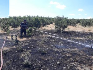 Yangın ormana sıçramadan söndürüldü